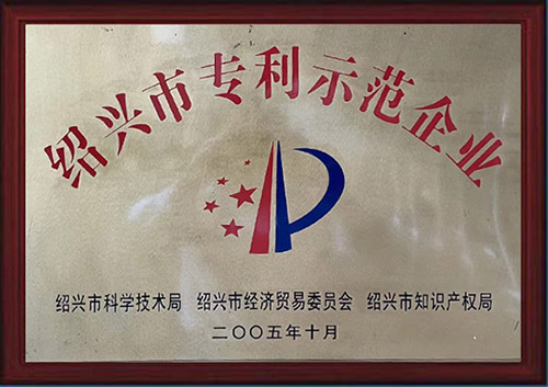 2005年榮獲紹興市專(zhuān)利示范企業(yè).jpg